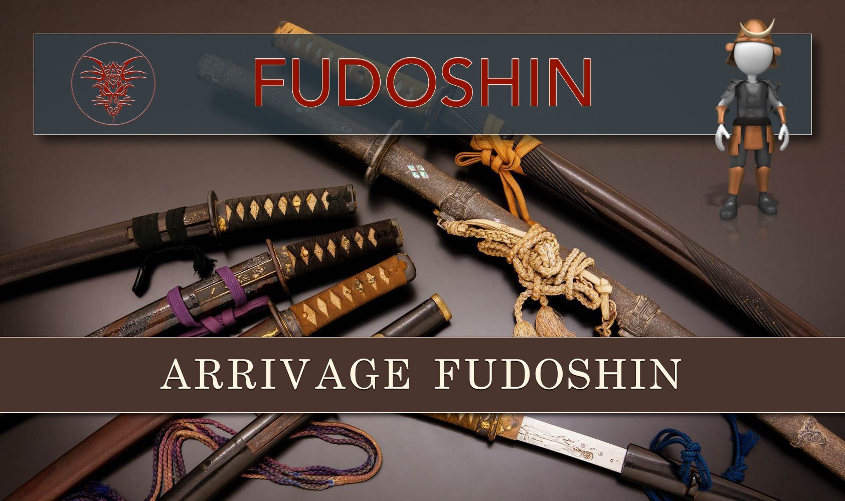 Télécharger le catalogue FUDOSHIN 2021